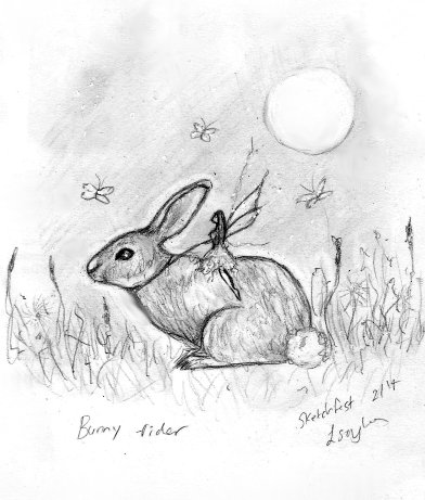 Bunny Rider by linzi fay